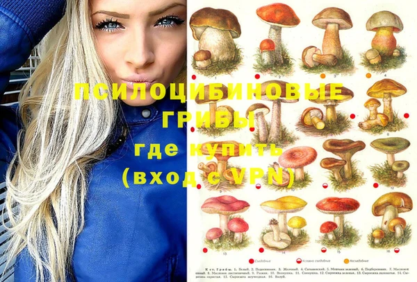 твердый Белокуриха